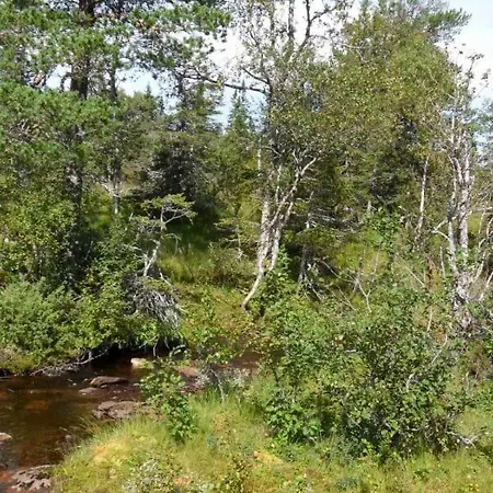 Privat overnatting Gran Nordre Snåsa